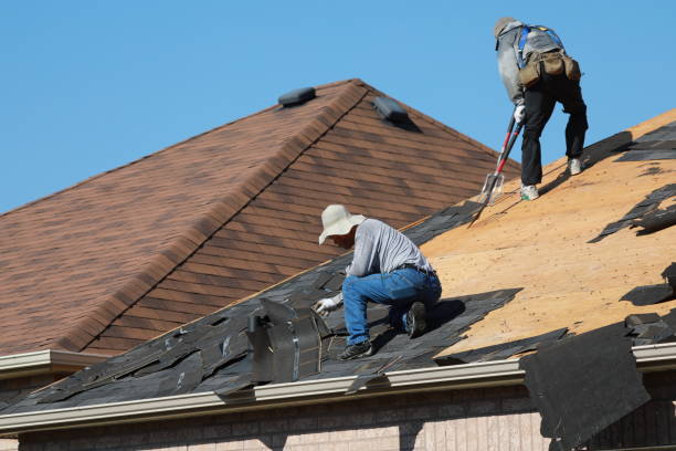 Best Storm Damage Roof Repair  in Plum Grove, TX