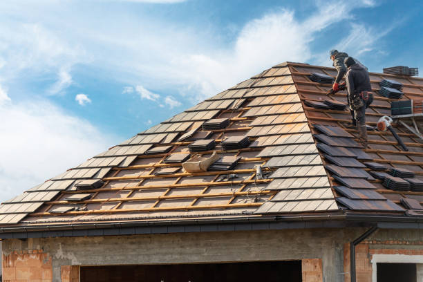 Skylights in Plum Grove, TX